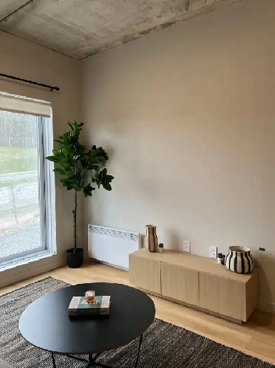 4½ appartement meublé et moderne Image# 11