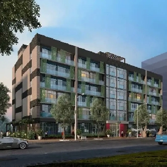 One bedroom Furnished Apartment Available in Waterloo Image# 1