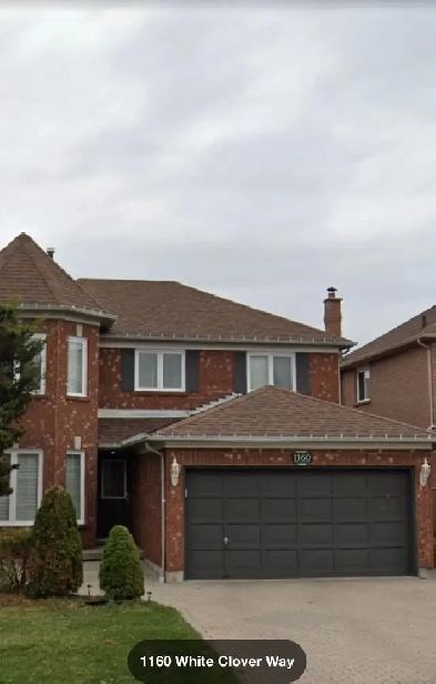 Basment for rent Image# 1