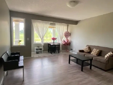 Beautiful and Clean 2 bedroom Basement Suite for Rent Image# 9