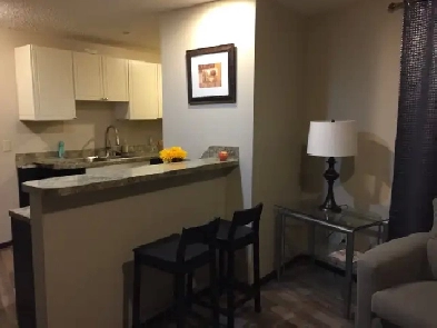 Furnished one bedroom with Den basement suite in southside YEG Image# 5