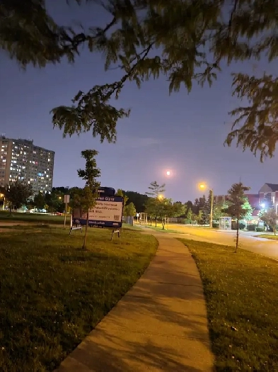Furnished Room near Humber college in Highrise Image# 1