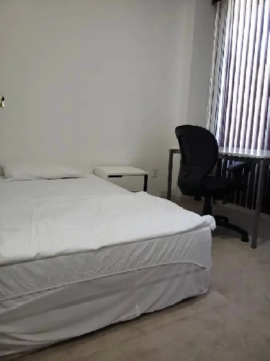 Room for Rent in York U. Village, Very Clean & Well Kept House Image# 3