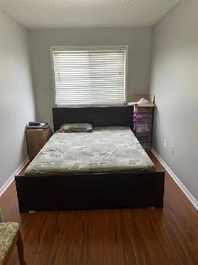 $500 All-Inclusive – Room for 2 Female Roommates Image# 4