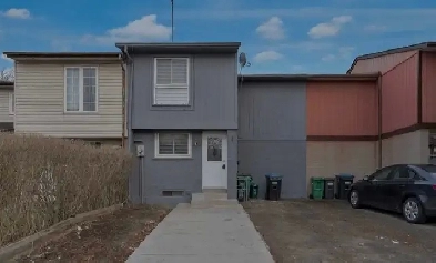 1 Bedroom Basement Apartment for rent in Brampton for $2,100 Image# 7