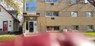 1 BR Condo For Rent in St Boniface Image# 1