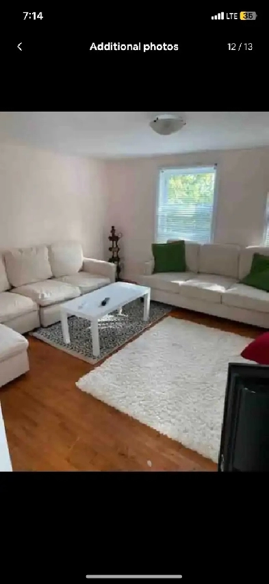 Large Room (South End HFX) Shared in 3 bedroom FLAT Image# 10