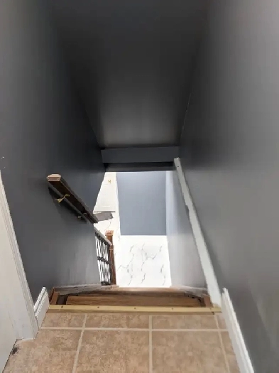 One Bedroom Basement Unit for Rent at Markham Rd and Steeles Ave Image# 4