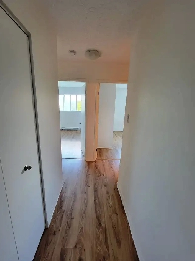 Appartement 4 ½ à louer, prioche CHUS et Cegep dispo 1erJuillet Image# 2