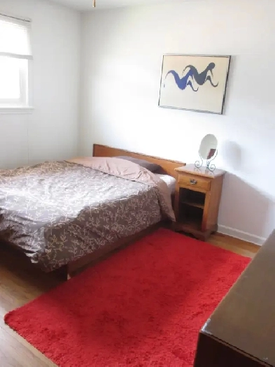 Very Nice Clean Quiet Room Near Algonquin College ! Image# 1