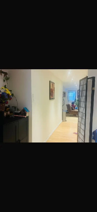 Walkout basement available from 1st August Image# 6