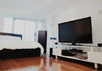 RARE SPACIOUS DOWNTOWN BACHELOR CONDO FURNISHED Image# 4