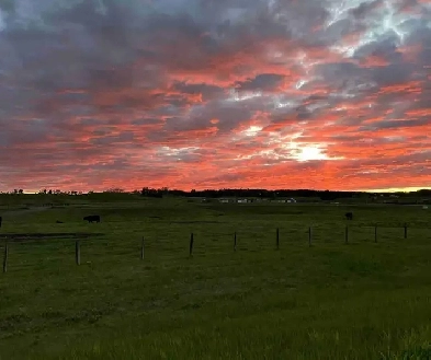 ACREAGE WANTED Image# 1