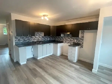 Logement 4 1/2 à louer à St-Jérôme Image# 10