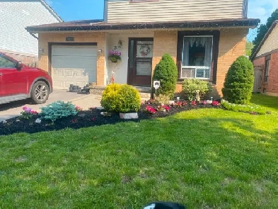 Legal Basement Apartment for Rent Image# 1