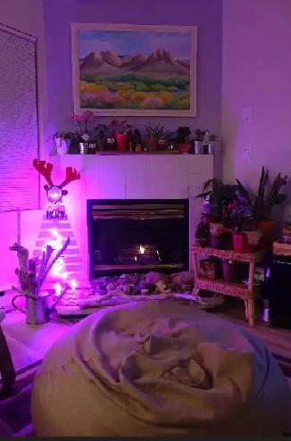 Bright, Cozy Master Bedroom for Rent in Brock on Aug 1st Image# 1