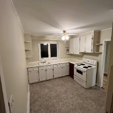 4A Albany St - Spacious Three Bedroom Apartment Image# 1