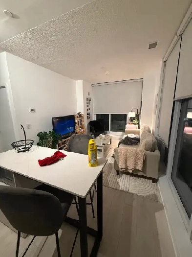 1 Primary Bedroom in 2 Bedroom Apartment for Rent - Female Only Image# 7
