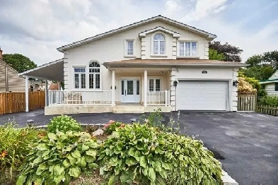 Ajax Basement Available for Rent (Separate Entrance) Image# 1