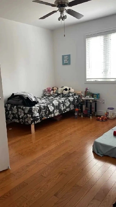 Single Room and Sharing Room Available in Scarborough Image# 3