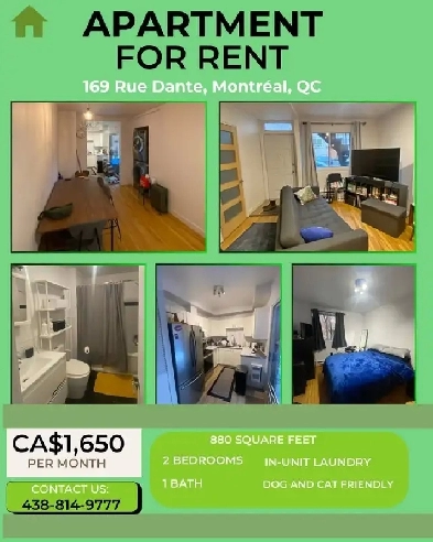 APARTMENT Family-Friendly 2 Bed | 1 Bath | Pet Friendly Image# 1