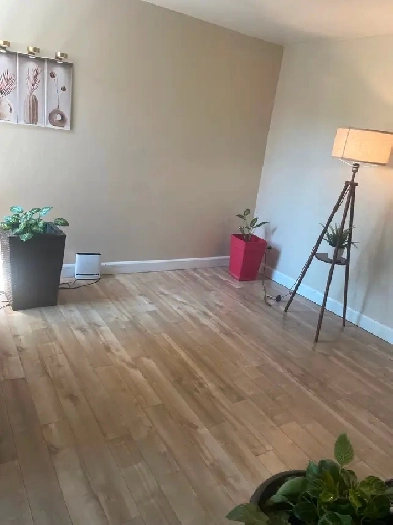 Appartement à louer Image# 8