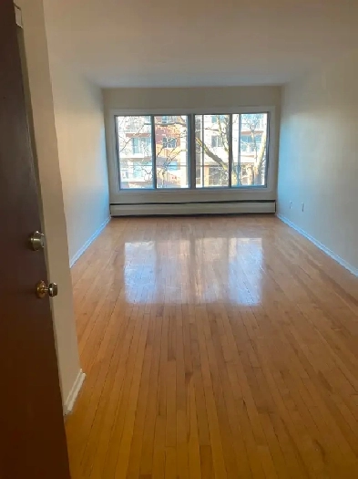 LARGE 3.5 CLOSE TO AIRPORT/ WATERFRONT. HEAT & H/W INCLUDED Image# 1