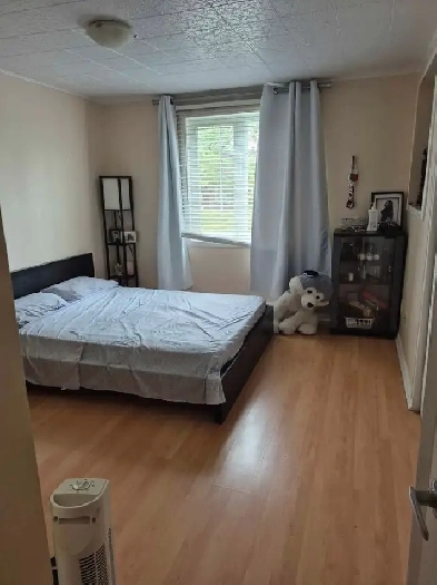 Chambre à louer Image# 2