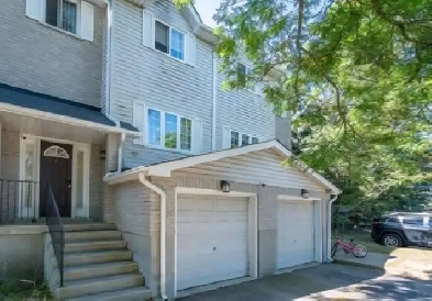1 bedroom basement with separate washroom  in Cambridge Image# 1