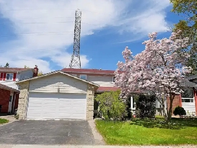Bright Room for Rent – (McCowan & Finch in Scarborough） Image# 10