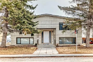 Just Fully Renovated Bright & Spacious 2-Bedroom Walk-Out Baseme Image# 3