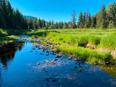 3% Financing - 15 acreages 1.3 to 6 acres, 25 Mins S of Kelowna Image# 7