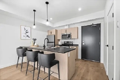Luxury 2 Bedroom Apartment available for July! Image# 5