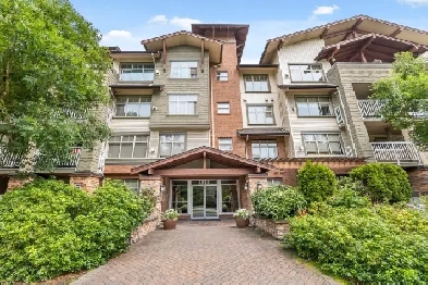 Bright and beautifully kept 1 bed, 1 bath condo in Sunset Grove! Image# 1