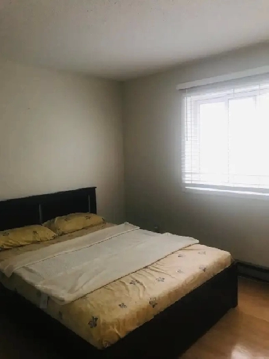 Rent 2 bedroom condo Image# 2