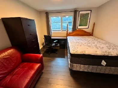 Luxury Furnished Room,AC,prv bath -1 month sublet- July1-31 only Image# 5