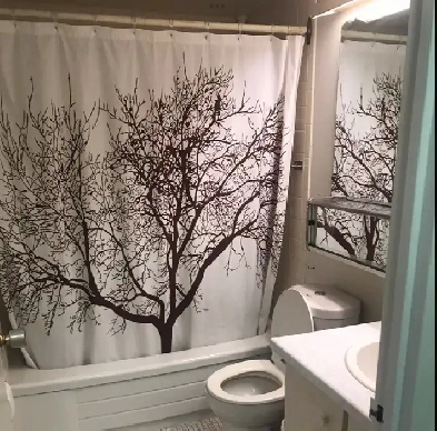 1 bedroom furnished apartment with hydro laundry and dishwasher Image# 7