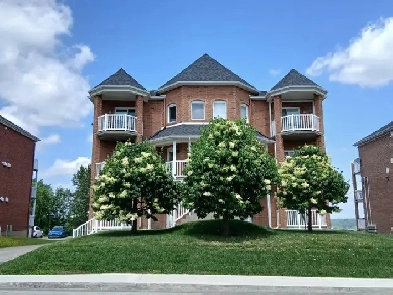 Condo 4 1/2 à louer Image# 5
