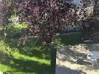 2BHK Walkout Basement for Rent NW Calgary from Aug. 1 Image# 2