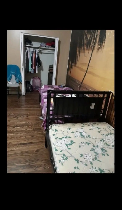 1 Sharing Room in ground floor for One or two girls  01 June Image# 1