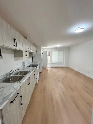 Brand New 2 Bed | 1 Bath Basement Suite in Fraser Heights. Image# 4