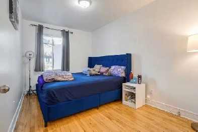 Nice big 5 1/2 in NDG Image# 1