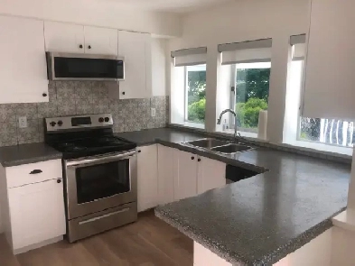 2 Bedroom Suite for Rent Image# 6