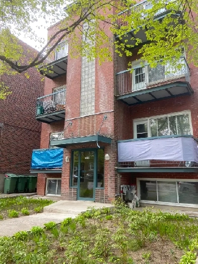 1 ½ à Côte-des-Neiges - 1er août Image# 1