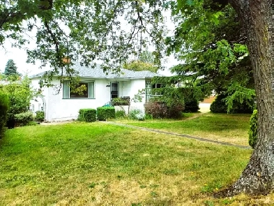 3 Bed 1.5 bath character house in Oak Bay Image# 10