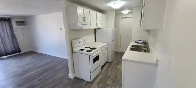 BEAUTIFUL 2 BEDROOM SUITE- RECENTLY RENOVATED Image# 1