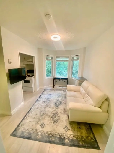 NAIT/Kingsway/ 1 BDR Furnished APT/Wifi Image# 1