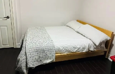 Private Room in Basement. Guildwood Area. TTC &GO  and U of T. Image# 3