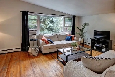 Prime Wortley Village /  Old South Location! Image# 3