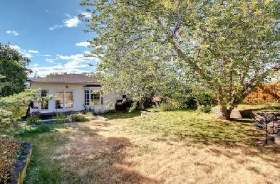 Stampeded - Charming Bungalow House Image# 4